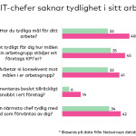 IT-chefer